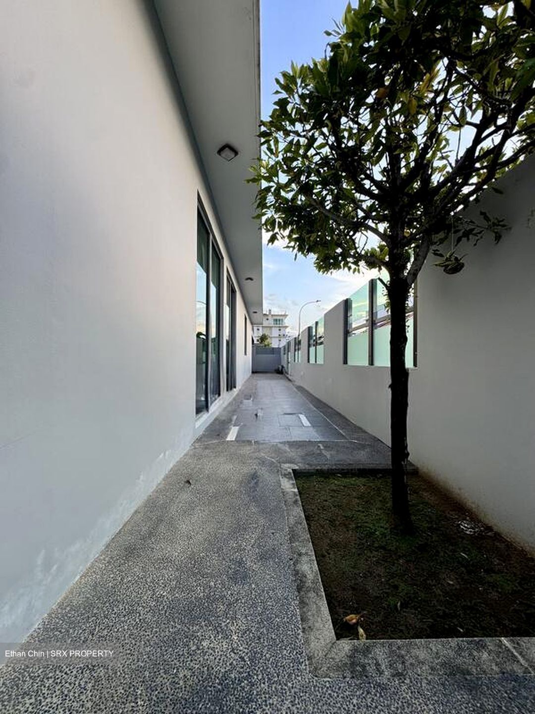 Lim Tua Tow Road (D19), Terrace #514574571